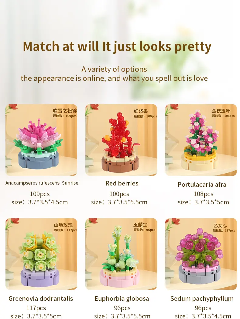 多肉详情页-英文版_15