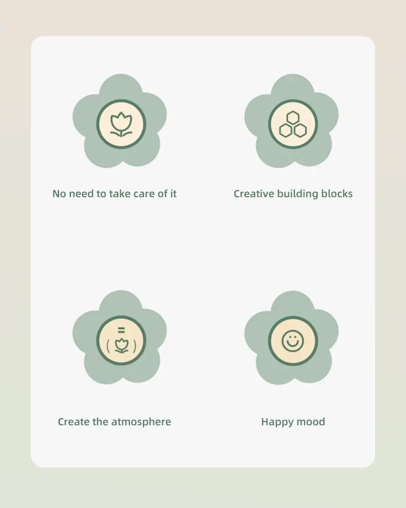 多肉详情页-英文版_02