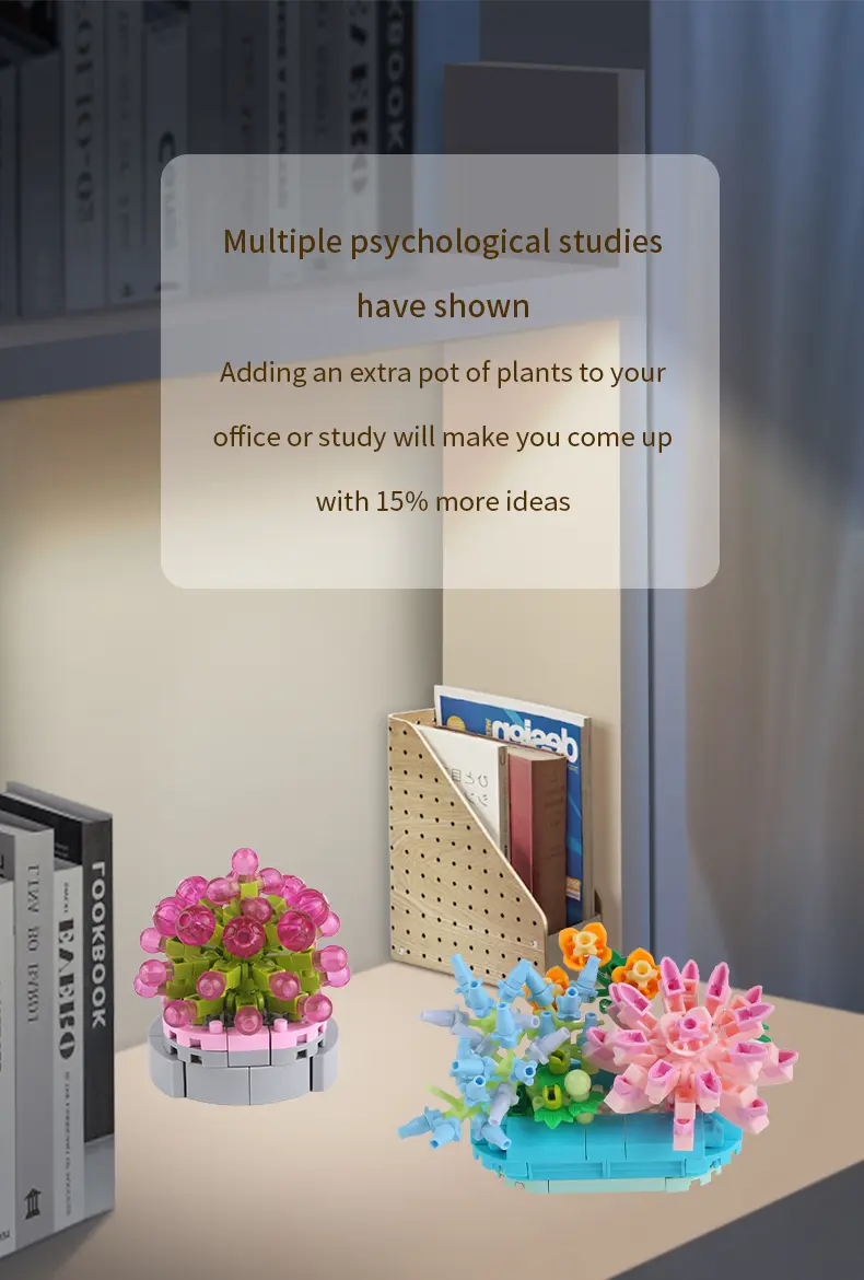 多肉详情页-英文版_07