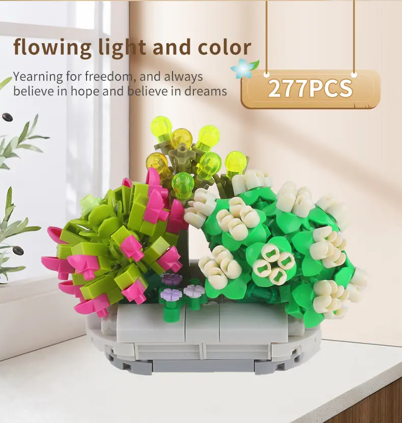 多肉详情页-英文版_14